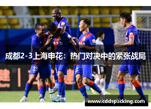 成都2-3上海申花：热门对决中的紧张战局