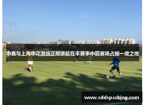 申鑫与上海申花激战正酣谁能在本赛季中超赛场占据一席之地