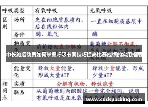 中长跑运动员如何掌握呼吸节奏技巧提高比赛成绩的实用指南