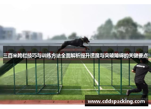 三百米跨栏技巧与训练方法全面解析提升速度与突破障碍的关键要点