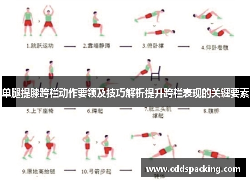 单腿提膝跨栏动作要领及技巧解析提升跨栏表现的关键要素
