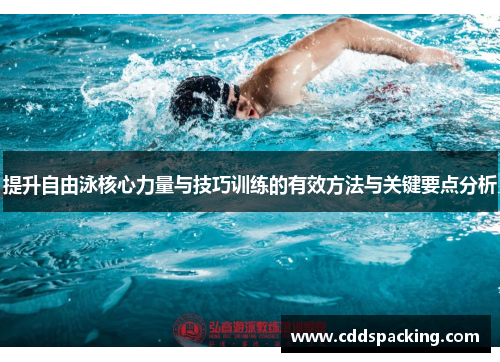 提升自由泳核心力量与技巧训练的有效方法与关键要点分析