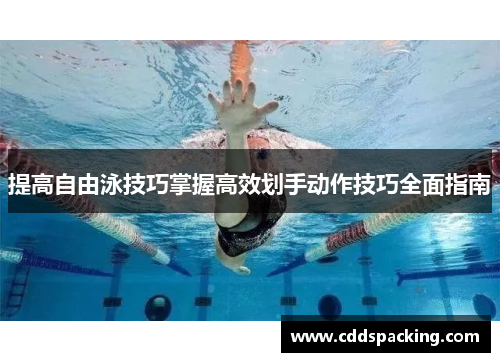 提高自由泳技巧掌握高效划手动作技巧全面指南