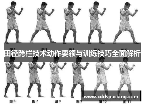 田径跨栏技术动作要领与训练技巧全面解析