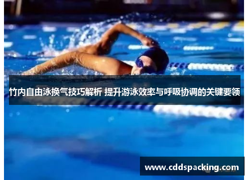 竹内自由泳换气技巧解析 提升游泳效率与呼吸协调的关键要领