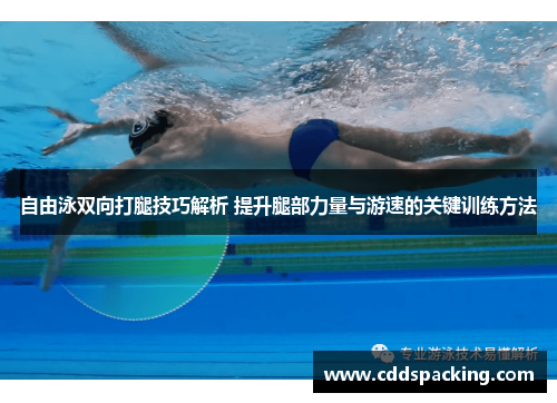 自由泳双向打腿技巧解析 提升腿部力量与游速的关键训练方法