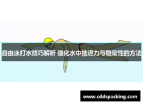 自由泳打水技巧解析 强化水中推进力与稳定性的方法