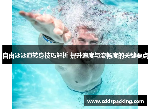 自由泳泳道转身技巧解析 提升速度与流畅度的关键要点