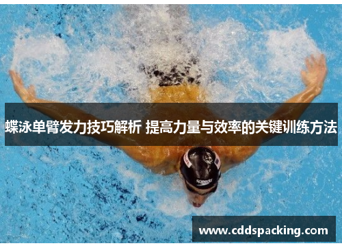 蝶泳单臂发力技巧解析 提高力量与效率的关键训练方法