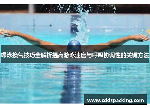 蝶泳换气技巧全解析提高游泳速度与呼吸协调性的关键方法
