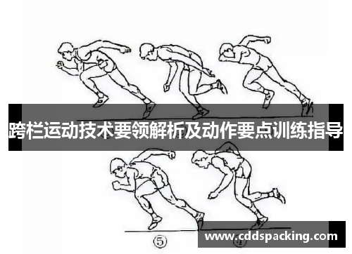 跨栏运动技术要领解析及动作要点训练指导