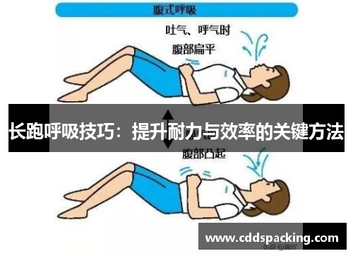 长跑呼吸技巧：提升耐力与效率的关键方法