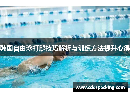 韩国自由泳打腿技巧解析与训练方法提升心得