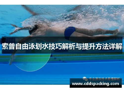 索普自由泳划水技巧解析与提升方法详解