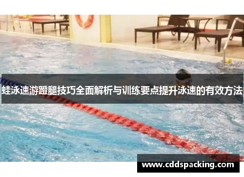 蛙泳速游蹬腿技巧全面解析与训练要点提升泳速的有效方法