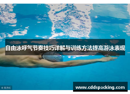 自由泳呼气节奏技巧详解与训练方法提高游泳表现
