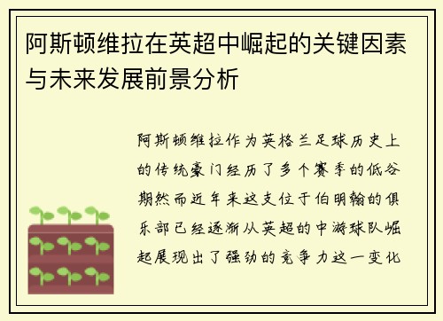阿斯顿维拉在英超中崛起的关键因素与未来发展前景分析